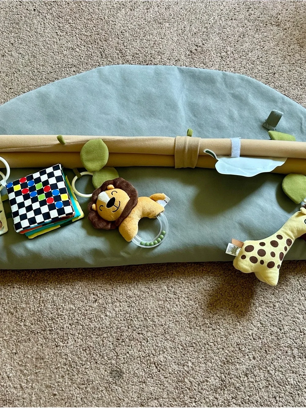 Blissful Diary Baby Play Gym and Activity Mat - 6 Detachable Toys